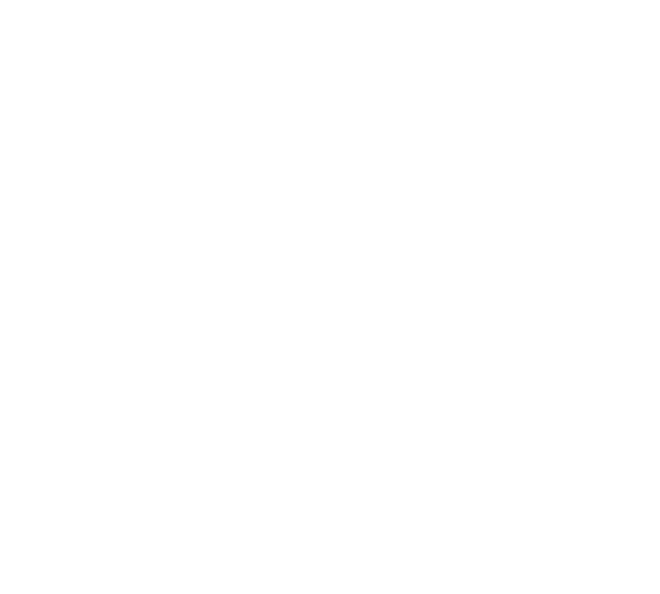 Elvir Shipping